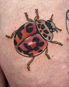 Maris-Beetle (1)