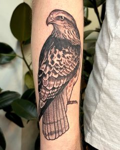 Maris-Hawk (1)