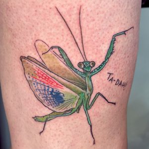 Maris-Mantis (1)