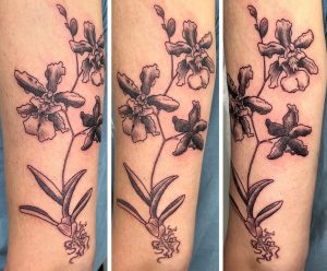 Maris-Orchid (1)